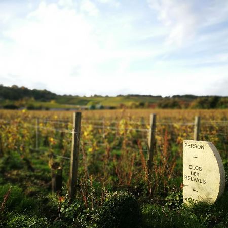 Le Clos Des Belvals Вертю Экстерьер фото
